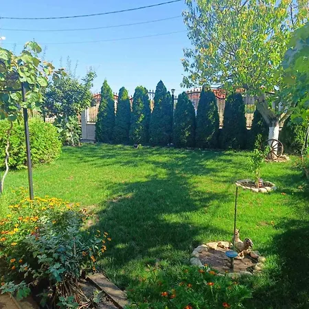 Guest house атес Kavarna